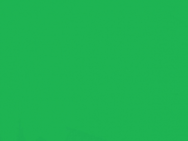 Lycra® glänzend Verde Forest LC 234
