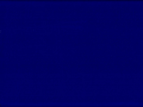 Lycra® glänzend Olympus L 60310