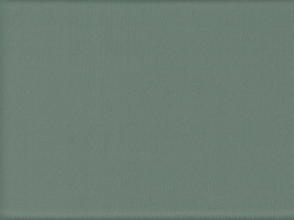 Lycra® glänzend Frosty Green L 601