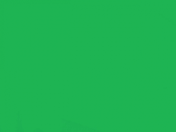 Lycra® glänzend Verde Forest LC 234
