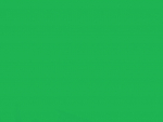 Lycra® glänzend Verde Forest LC 234